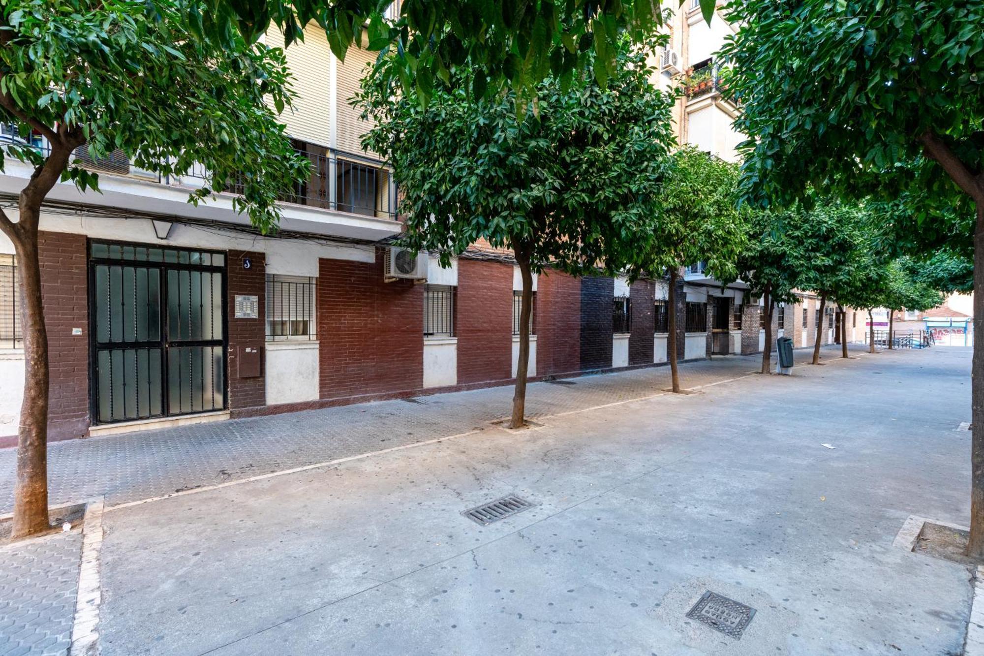 Piso Elegante Y Nuevo De 3 Habitaciones Y 2 Banos Siviglia Esterno foto